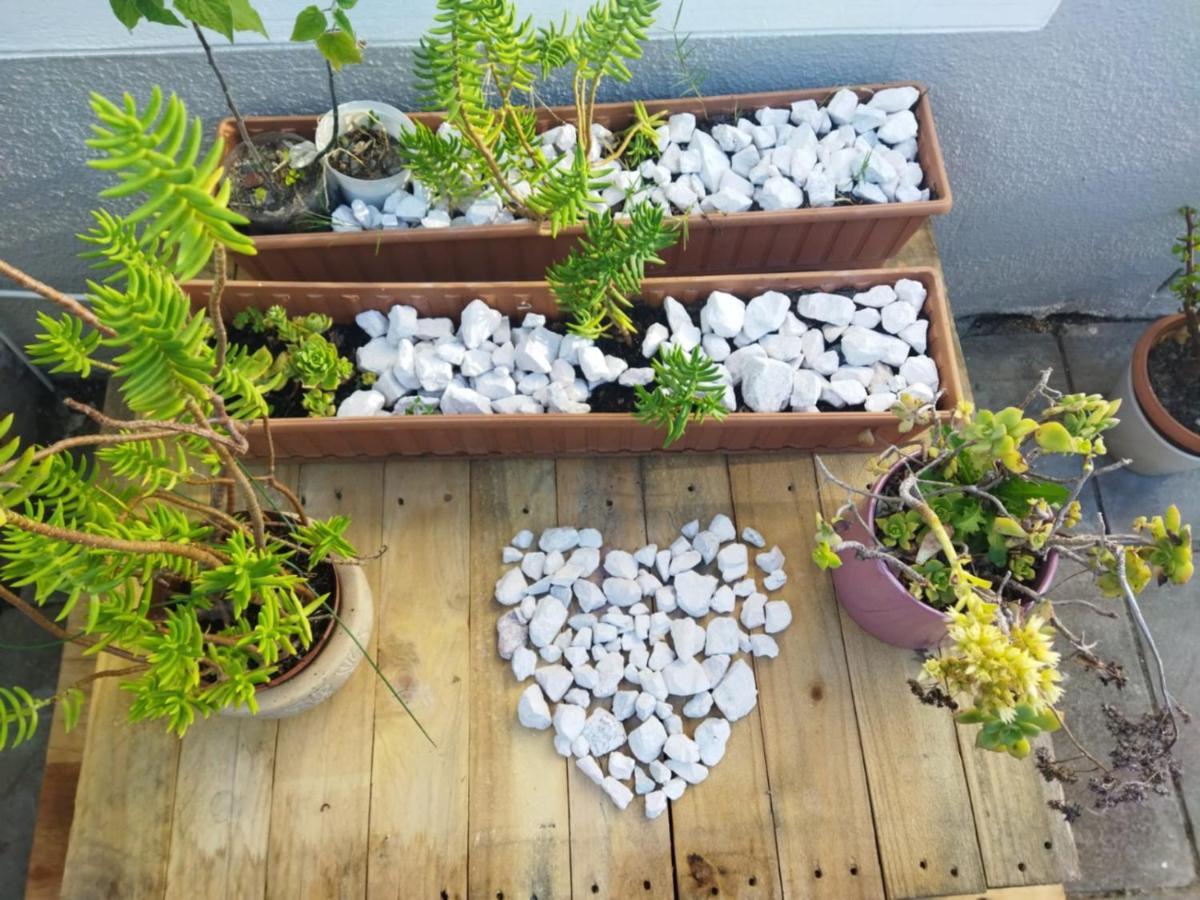 Holiday home 21 Pin Oak Cape Town