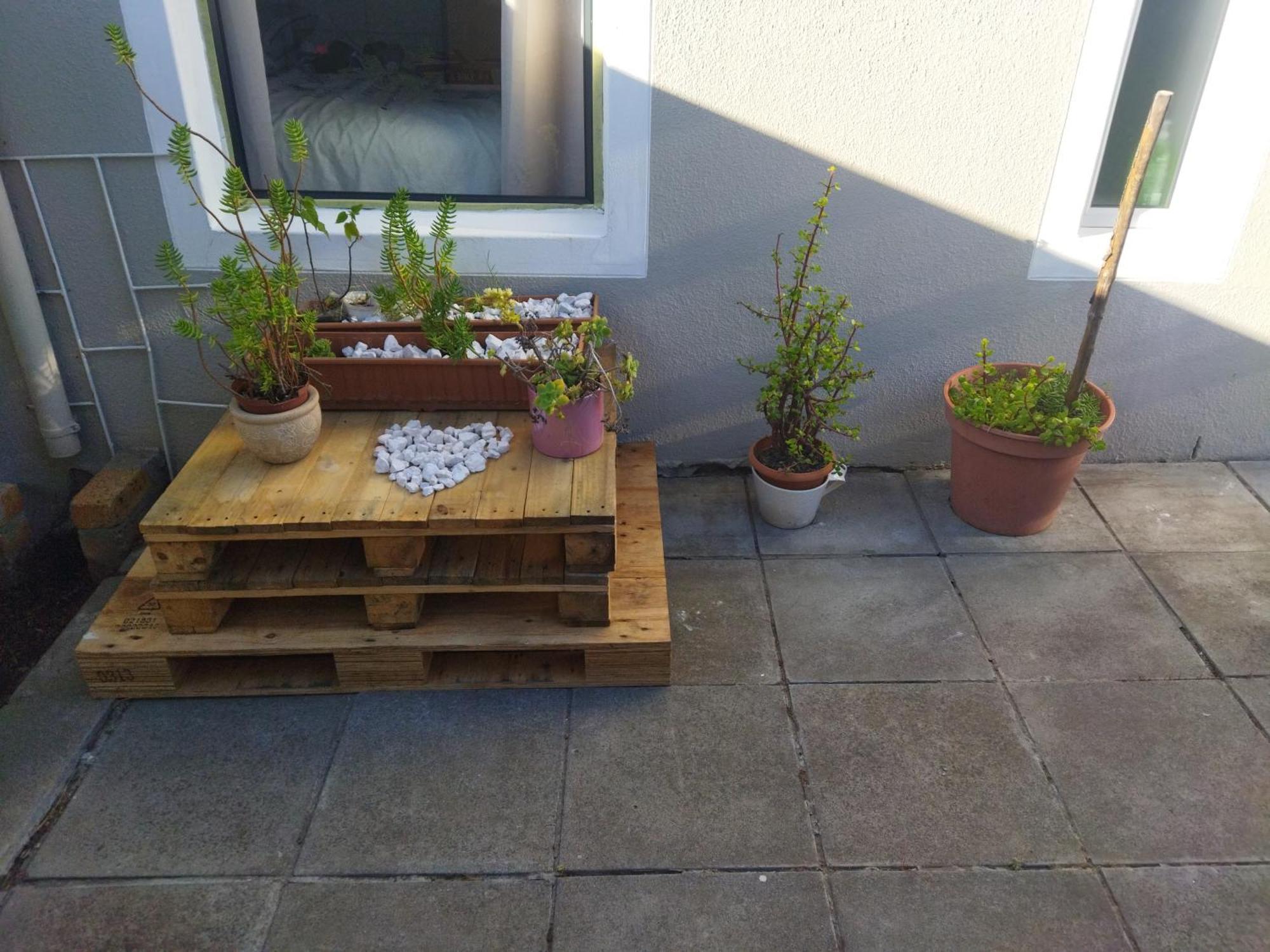 21 Pin Oak Cape Town